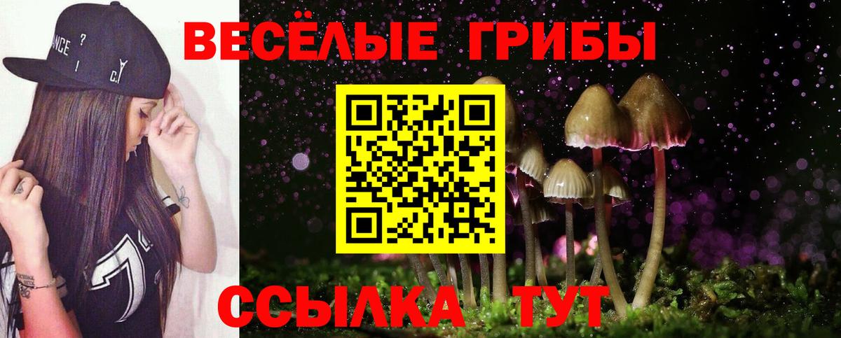 Люберцы  Псилоцибиновые грибы прущие грибы  где купить наркоту  Вход с VPN 