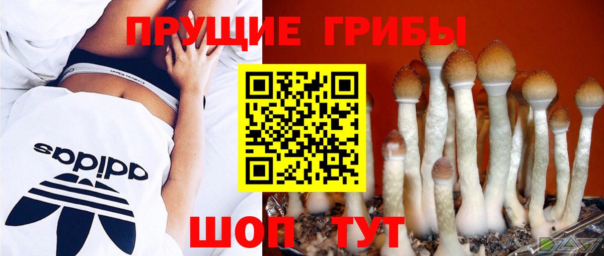 Псилоцибиновые грибы MAGIC MUSHROOMS Люберцы
